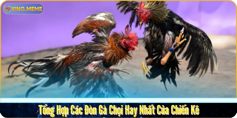 Tổng Hợp Các Đòn Gà Chọi Hay Nhất Của Chiến Kê